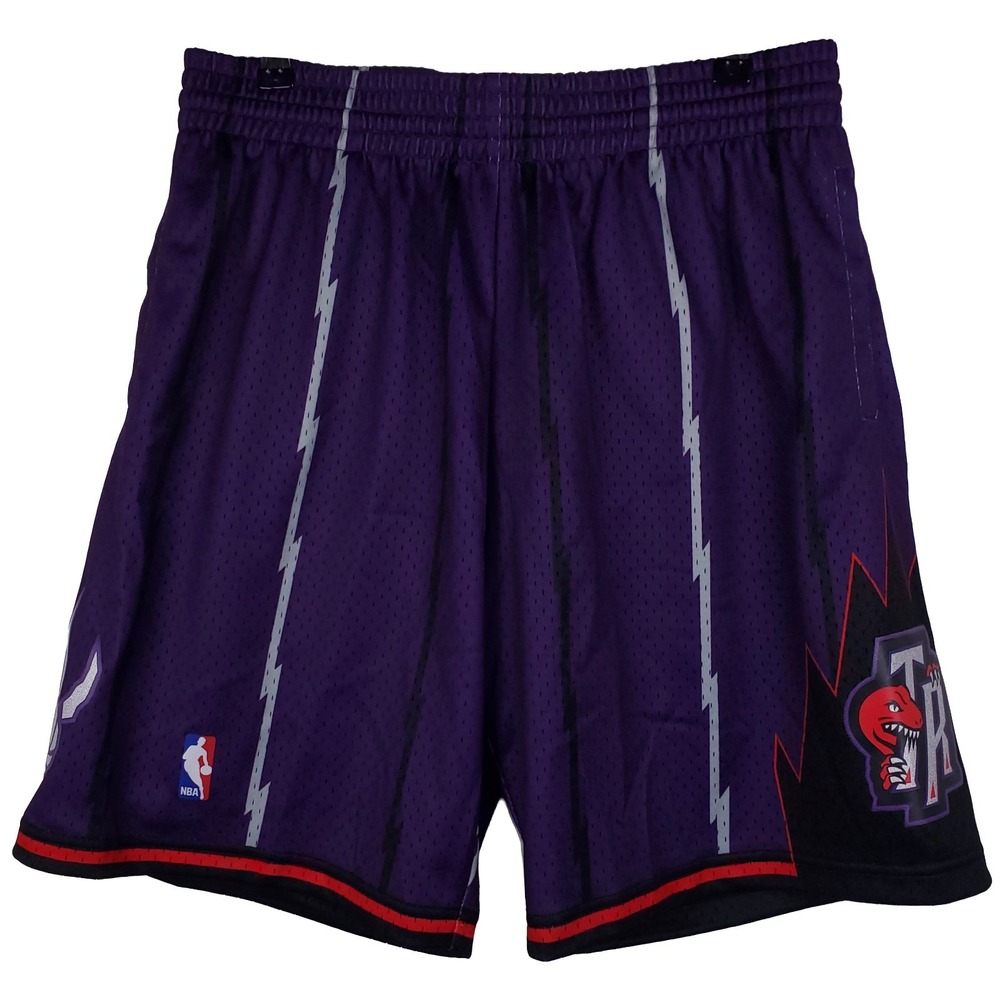 Toronto Raptors Mitchell & Ness NBA Large Jersey‎ Shorts Purple Striped New